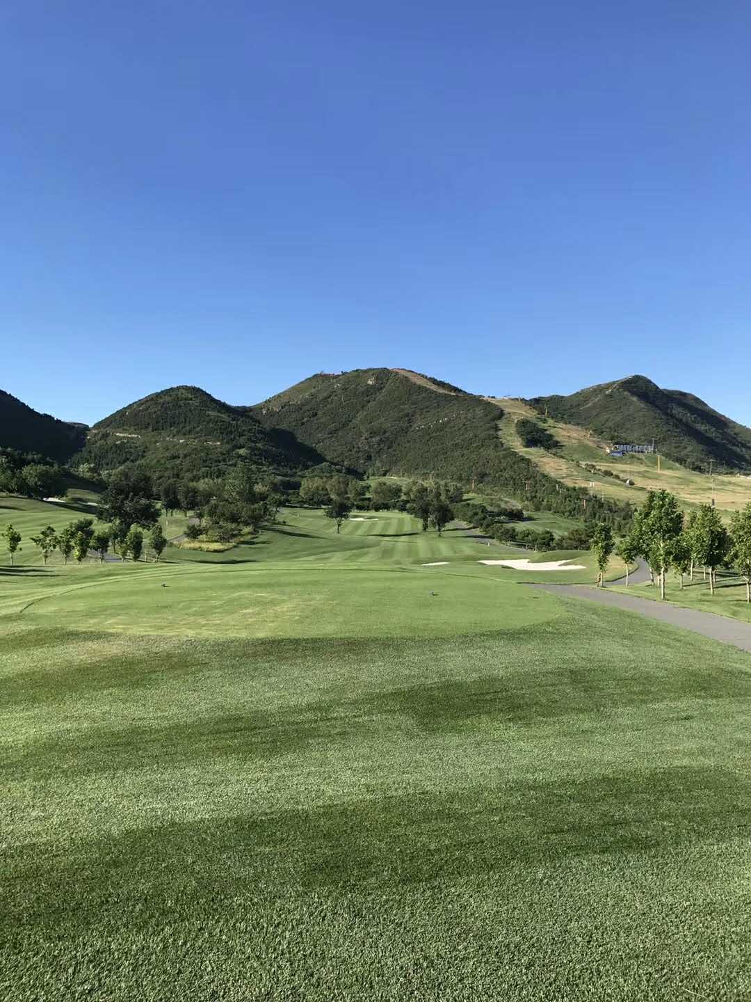 1595928097609633.jpg 1a835d6bfcd514f04f99097006561c1a.jpg