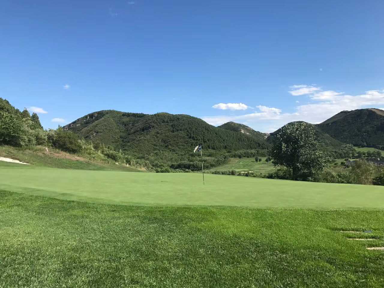 1595928224989755.jpg b78799ea48a2422a5378fed6aa0c3afc.jpg