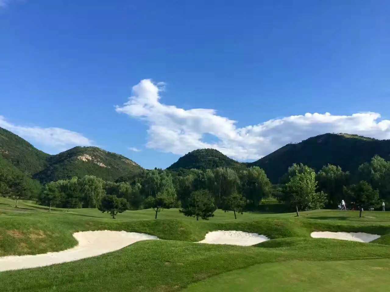 1623380705467405.jpg 1595922594180129.jpg